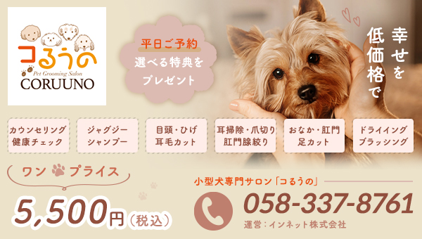 岐阜市の犬専門トリミングサロン「コるうの」は、体重が8kg未満の小型犬・超小型犬を対象としたサロンです。詳しくはこちら。